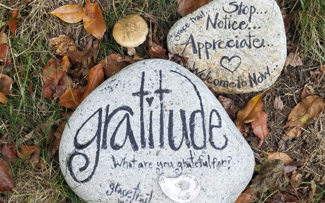 Daily Gratitude is a Game-Changer
